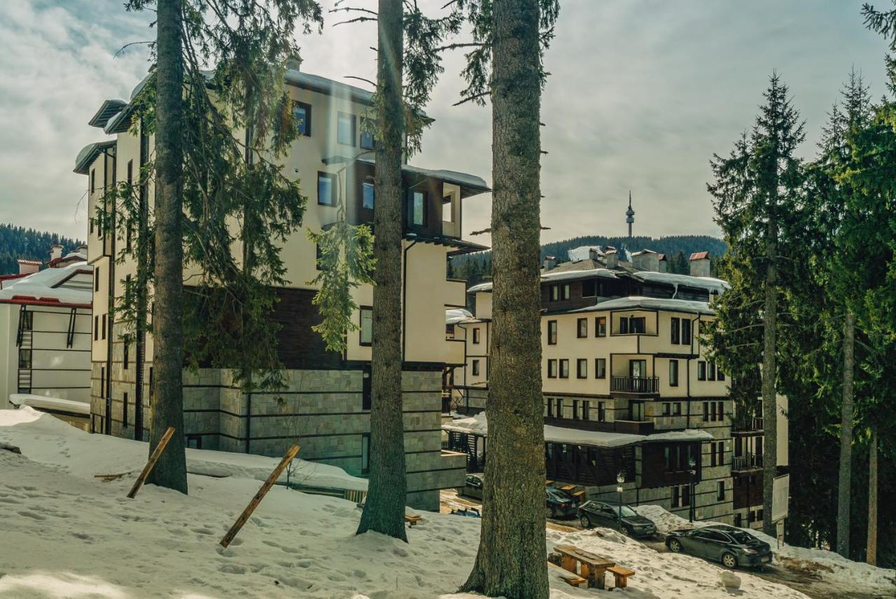 Life Family Pamporovo